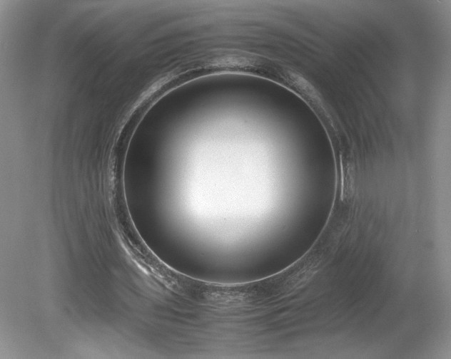 X0000080140435200612081300