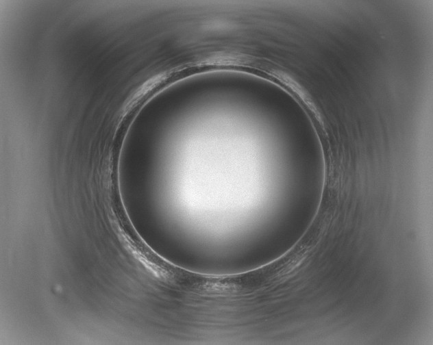 X0000080140437200612081300