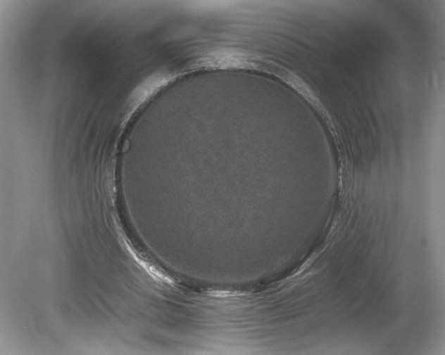 X0000080140438200612081300