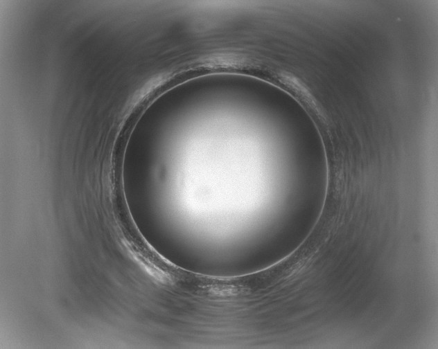 X0000080140439200612081300