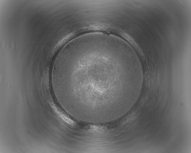 X0000080140442200612081300