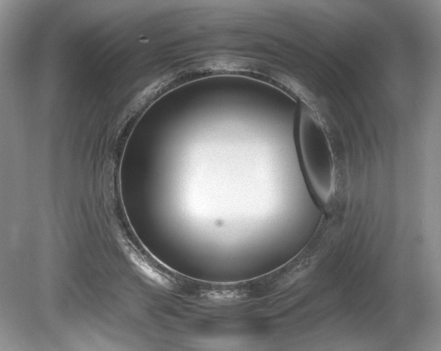 X0000080140445200612081300