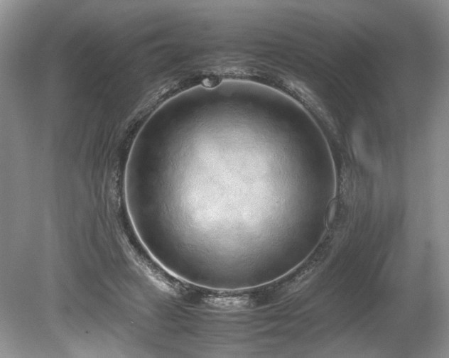 X0000080140449200612081300