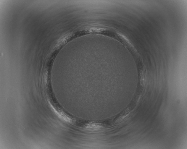 X0000080140451200612081300