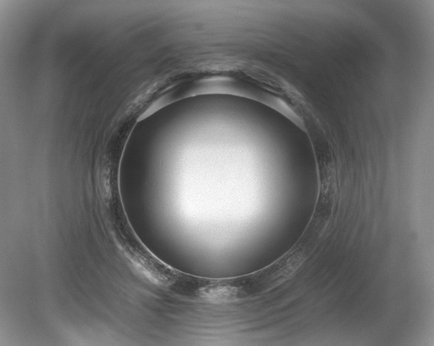 X0000080140452200612081300