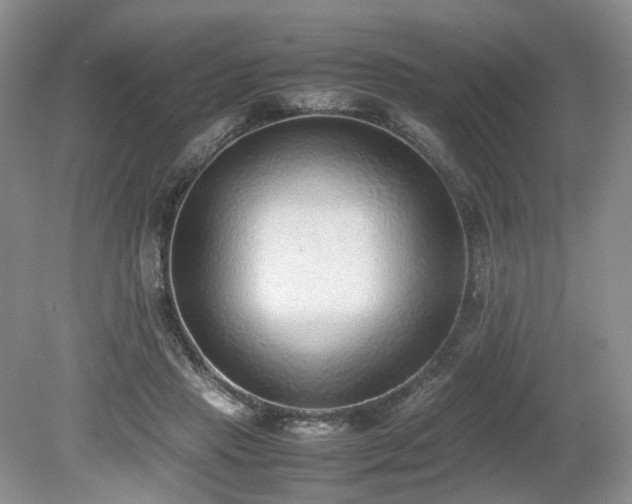 X0000080140453200612081300