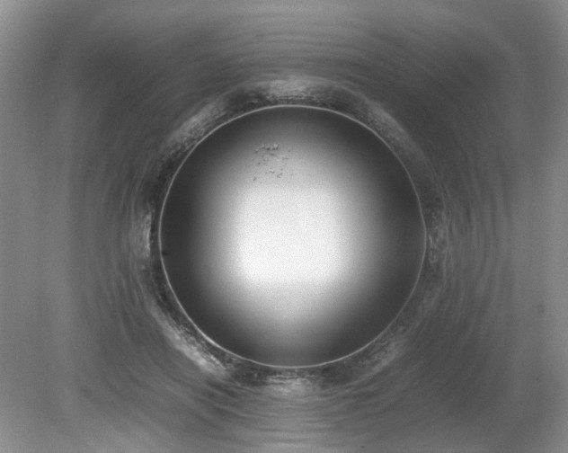 X0000080140454200612081300