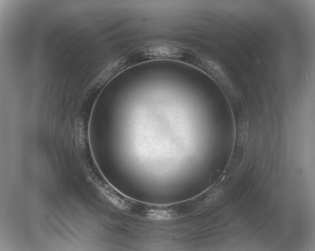 X0000080140457200612081300