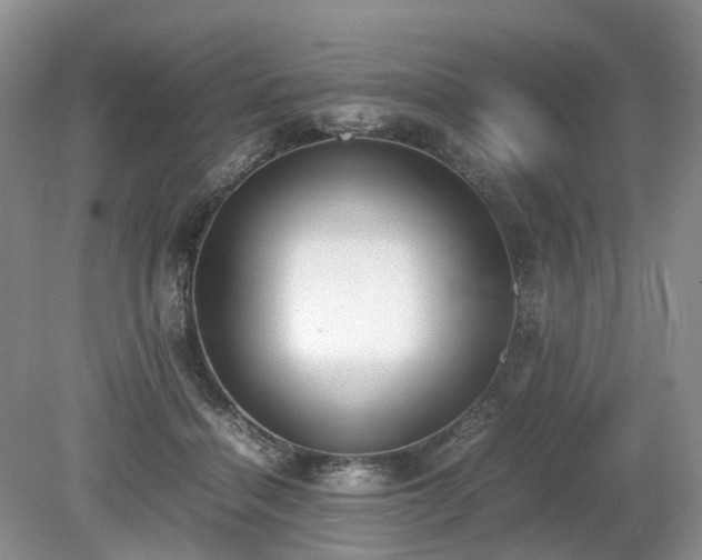 X0000080140460200612081300