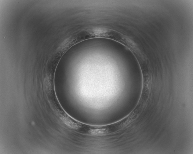 X0000080140461200612081300