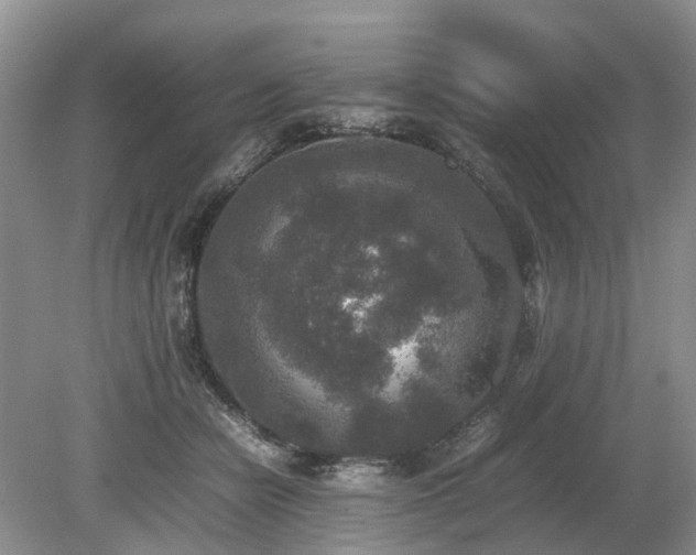 X0000080140462200612081300