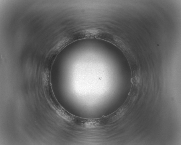 X0000080140468200612081300