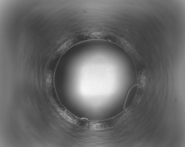 X0000080140472200612081300