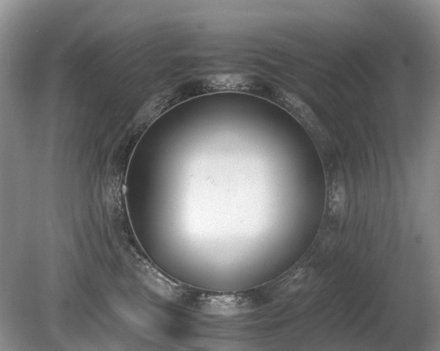X0000080140473200612081300