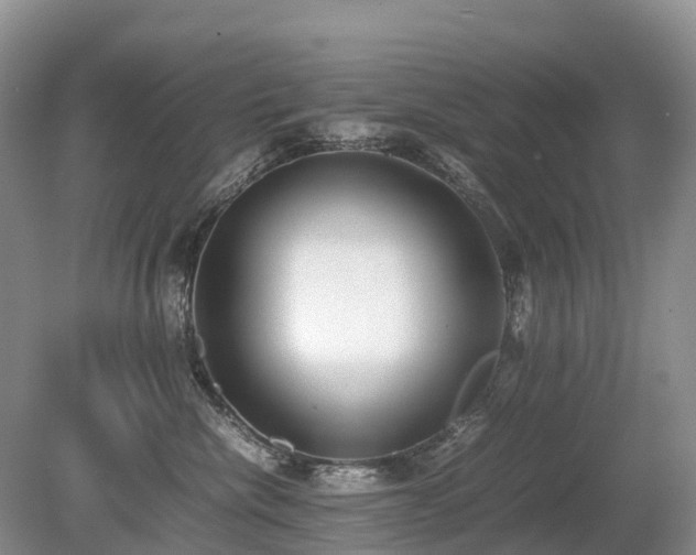 X0000080140476200612081300