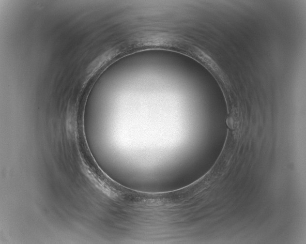 X0000080140482200612081300