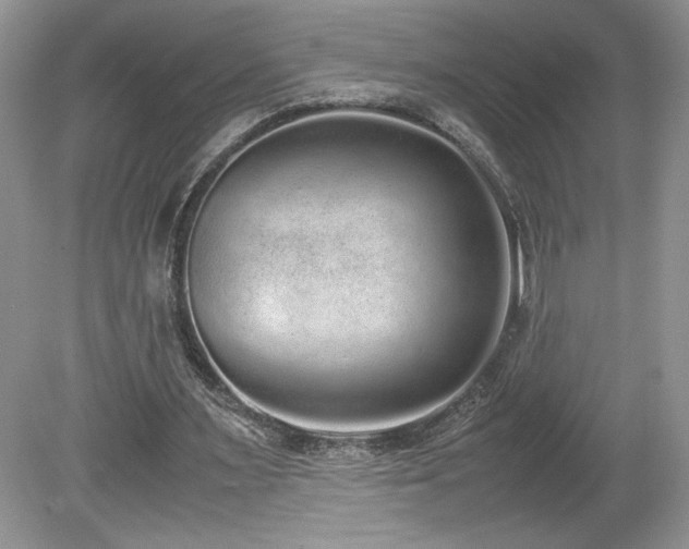 X0000080140483200612081300