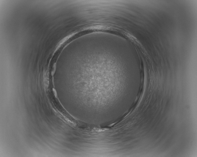 X0000080140484200612081300