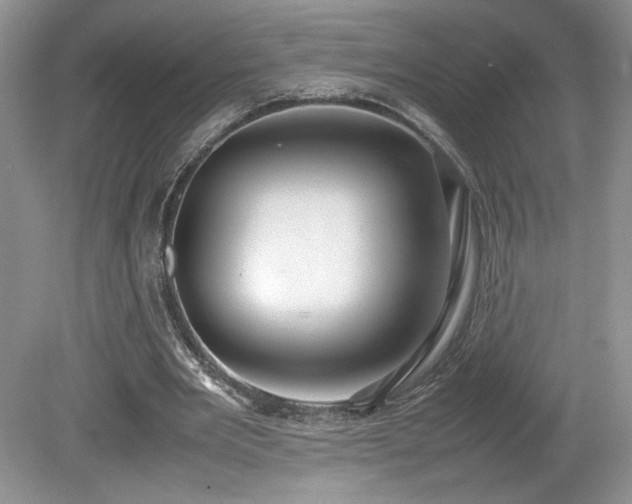 X0000080140485200612081300