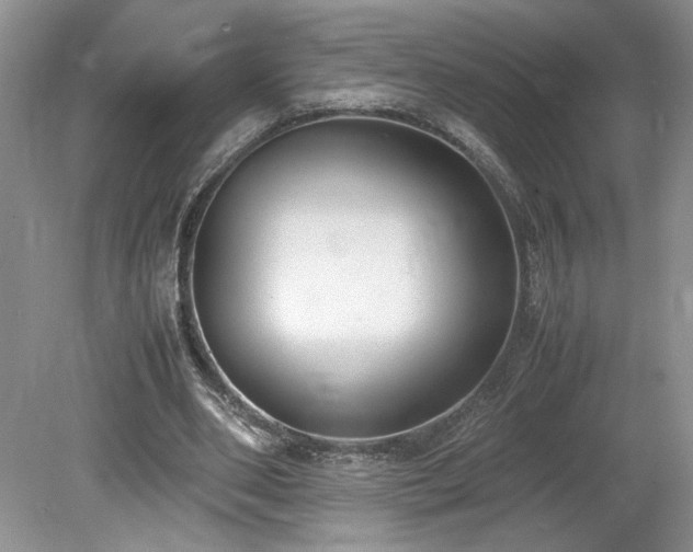 X0000080140486200612081300