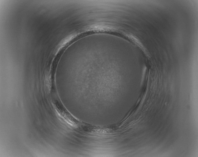 X0000080140488200612081300