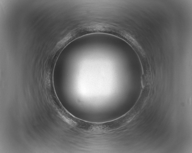 X0000080140489200612081300