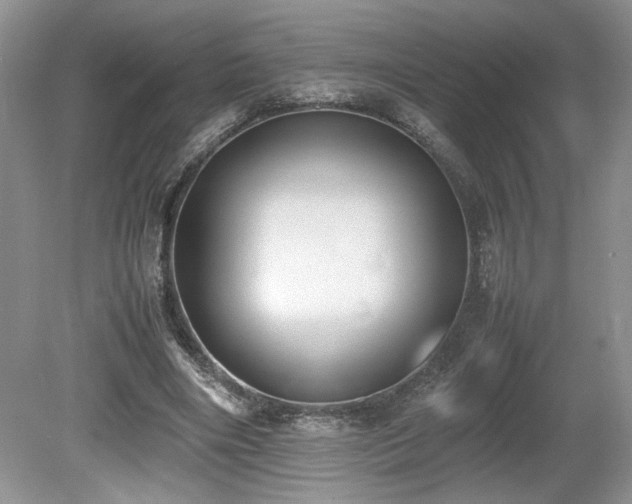 X0000080140490200612081300