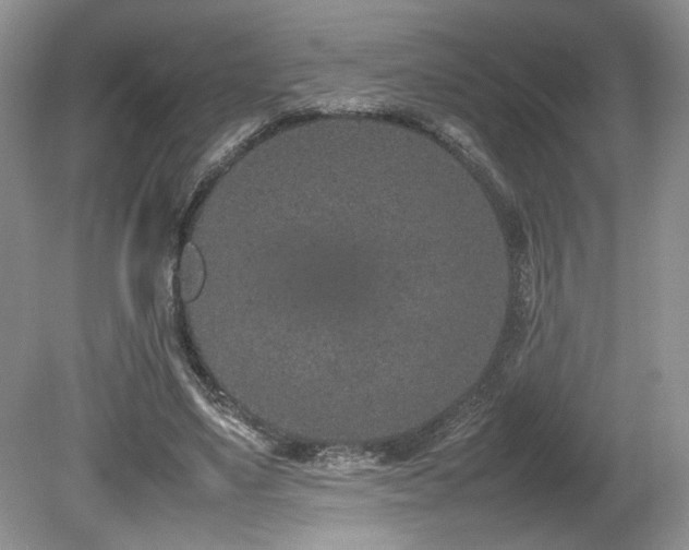X0000080140491200612081259