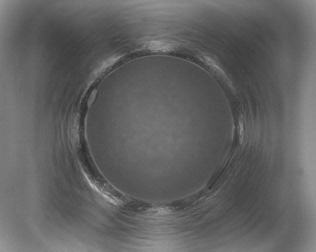 X0000080140492200612081259