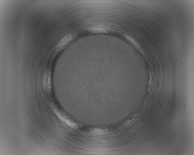 X0000080140494200612081259
