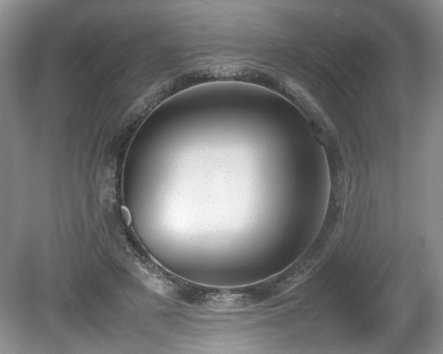 X0000080140497200612081259