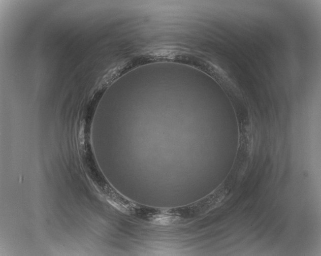 X0000080140504200612081259