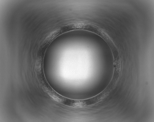 X0000080140505200612081259