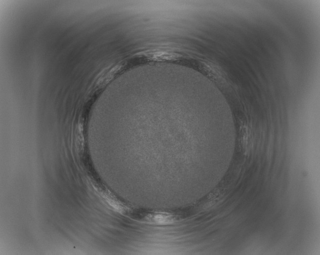 X0000080140506200612081259