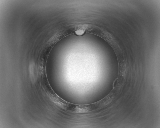 X0000080140510200612081259
