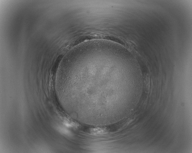 X0000080140511200612081259