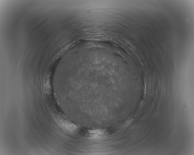 X0000080140516200612081259