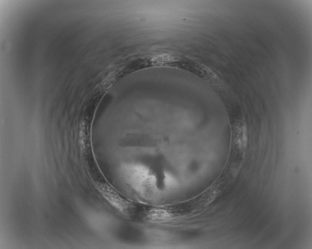 X0000080140519200612081259