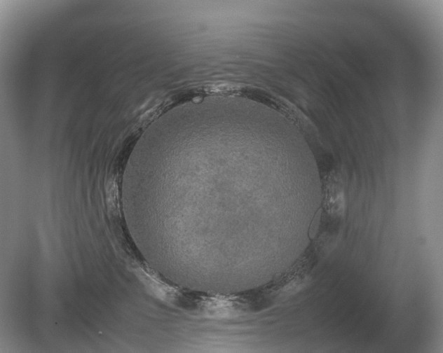 X0000080140523200612081259