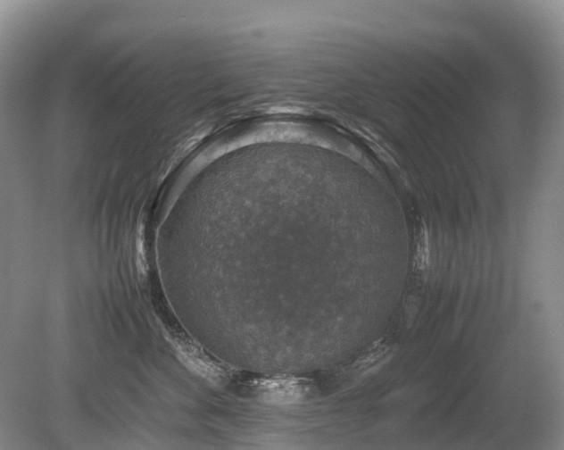 X0000080140524200612081259