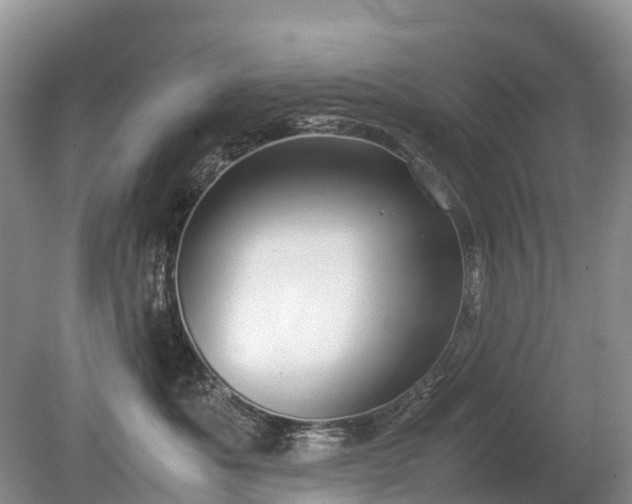 X0000080140525200612081259