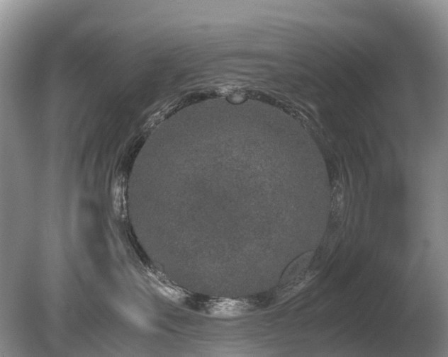 X0000080140527200612081259