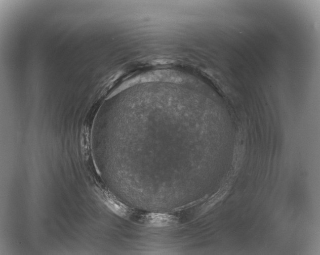 X0000080140528200612081259