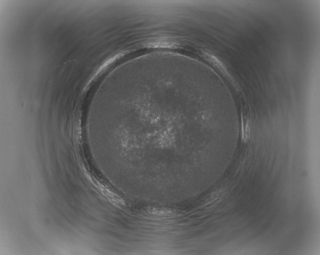 X0000080140531200612081258