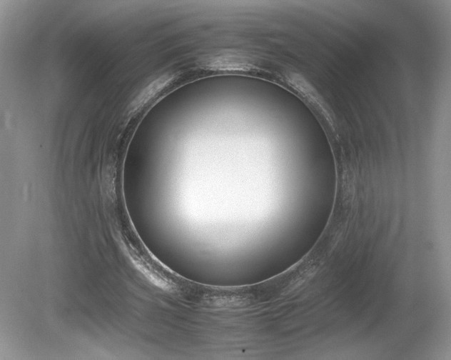 X0000080140533200612081258