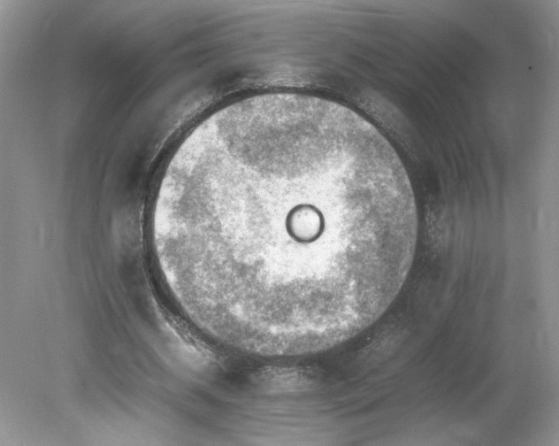 X0000080140534200612081258