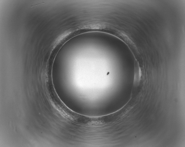 X0000080140536200612081258