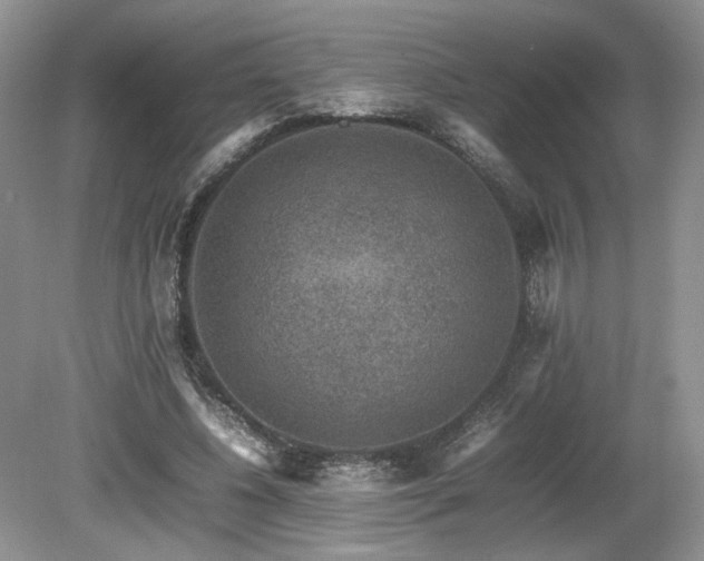 X0000080140540200612081258
