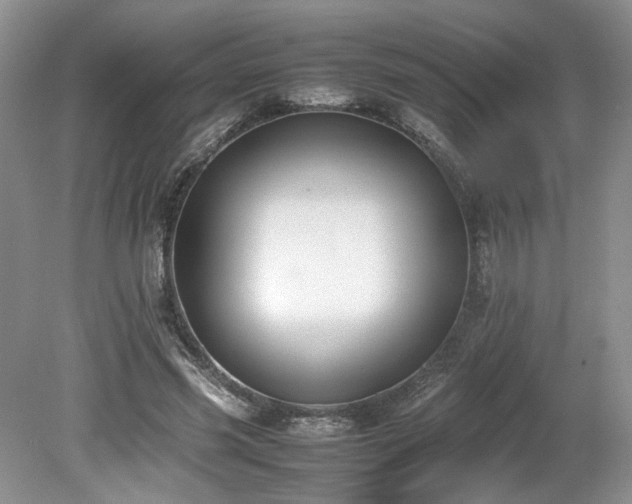 X0000080140541200612081258