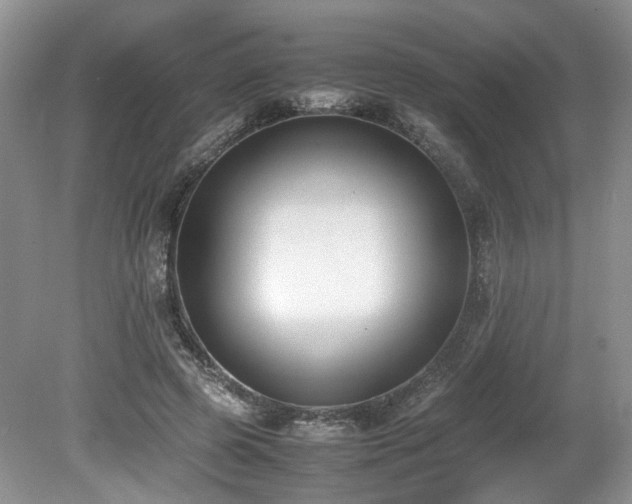 X0000080140545200612081258